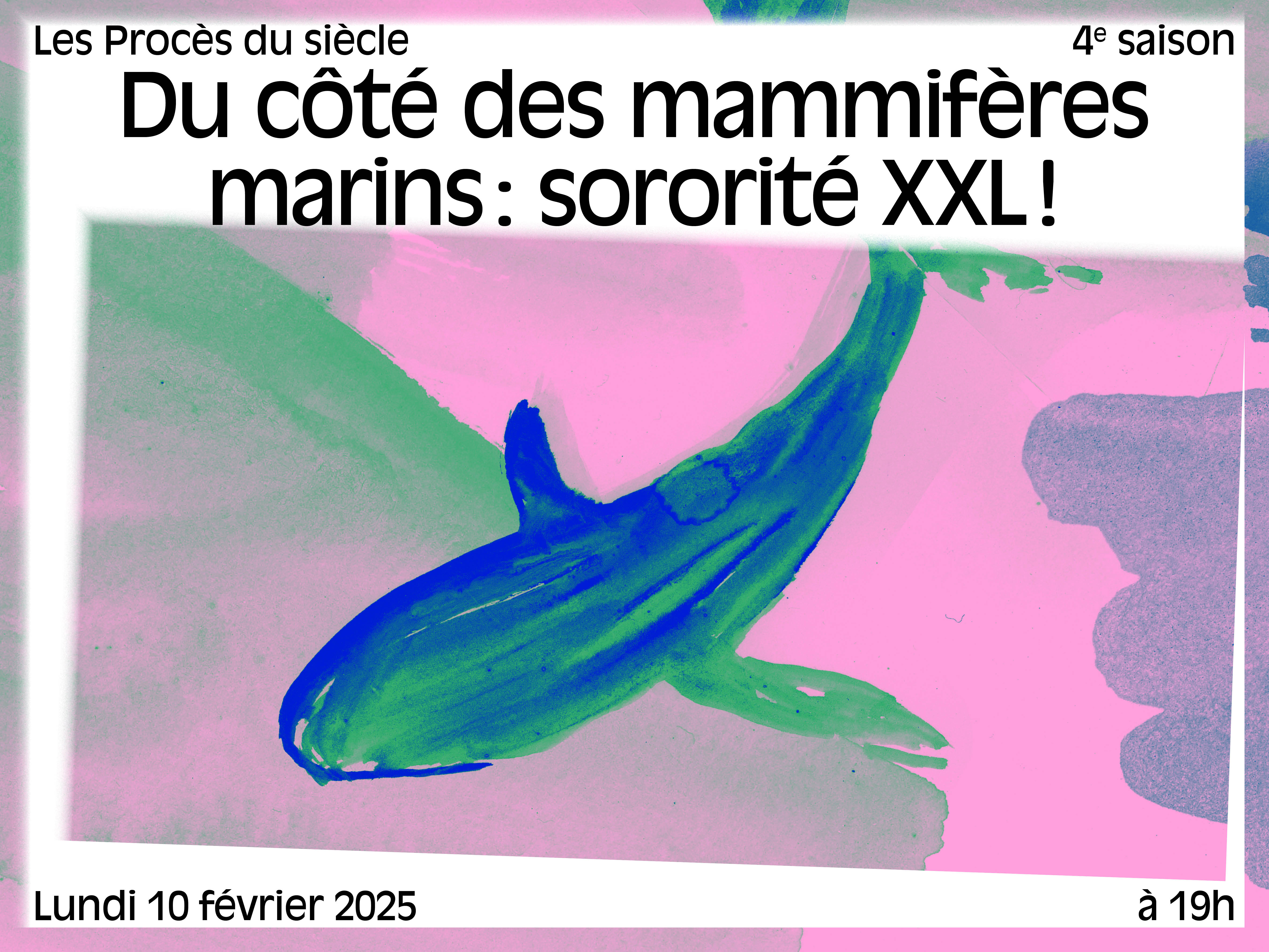 Du côté des mammifères marins : sororité XXL ! © Benoit Guillaume / Mucem