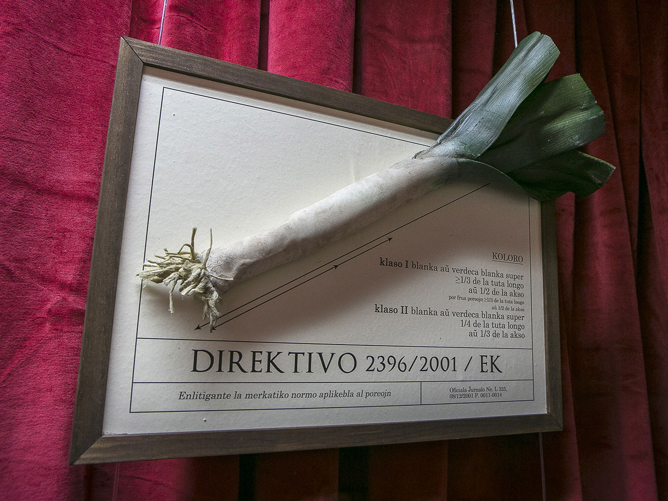 Domo De Europa Thomas Bellinck © Danny Willems