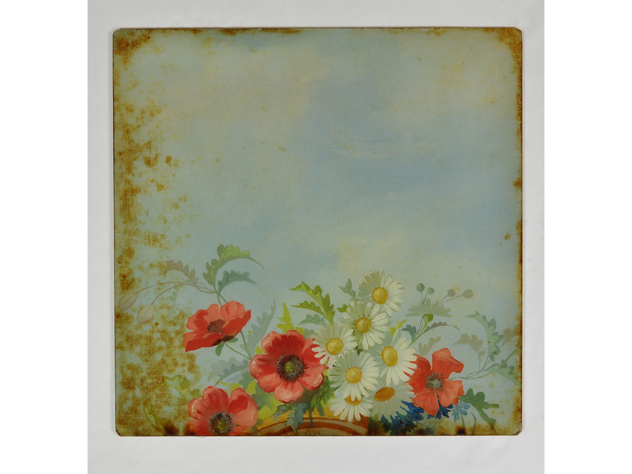 M comme « Marguerite » (Leucanthemum vulgare) ou « Messiflore » Eléments de décoration de boulangerie, verre peint, Ateliers Benoist et fils, Paris, fin du XIXe - début du XXe siècle Mucem © Mucem