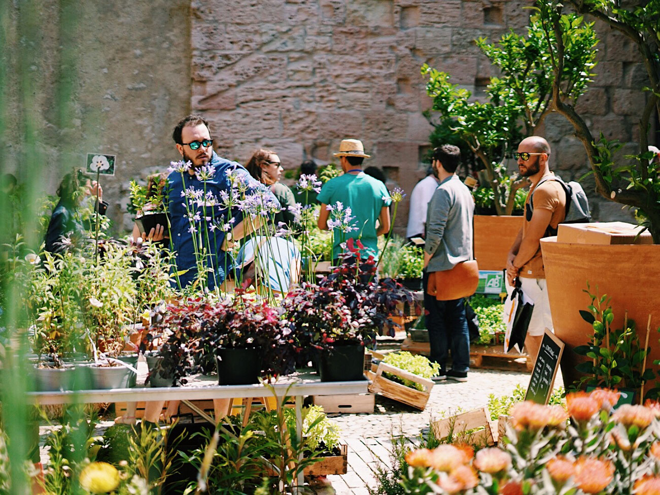 Fête des plantes © Julie Cohen, Mucem