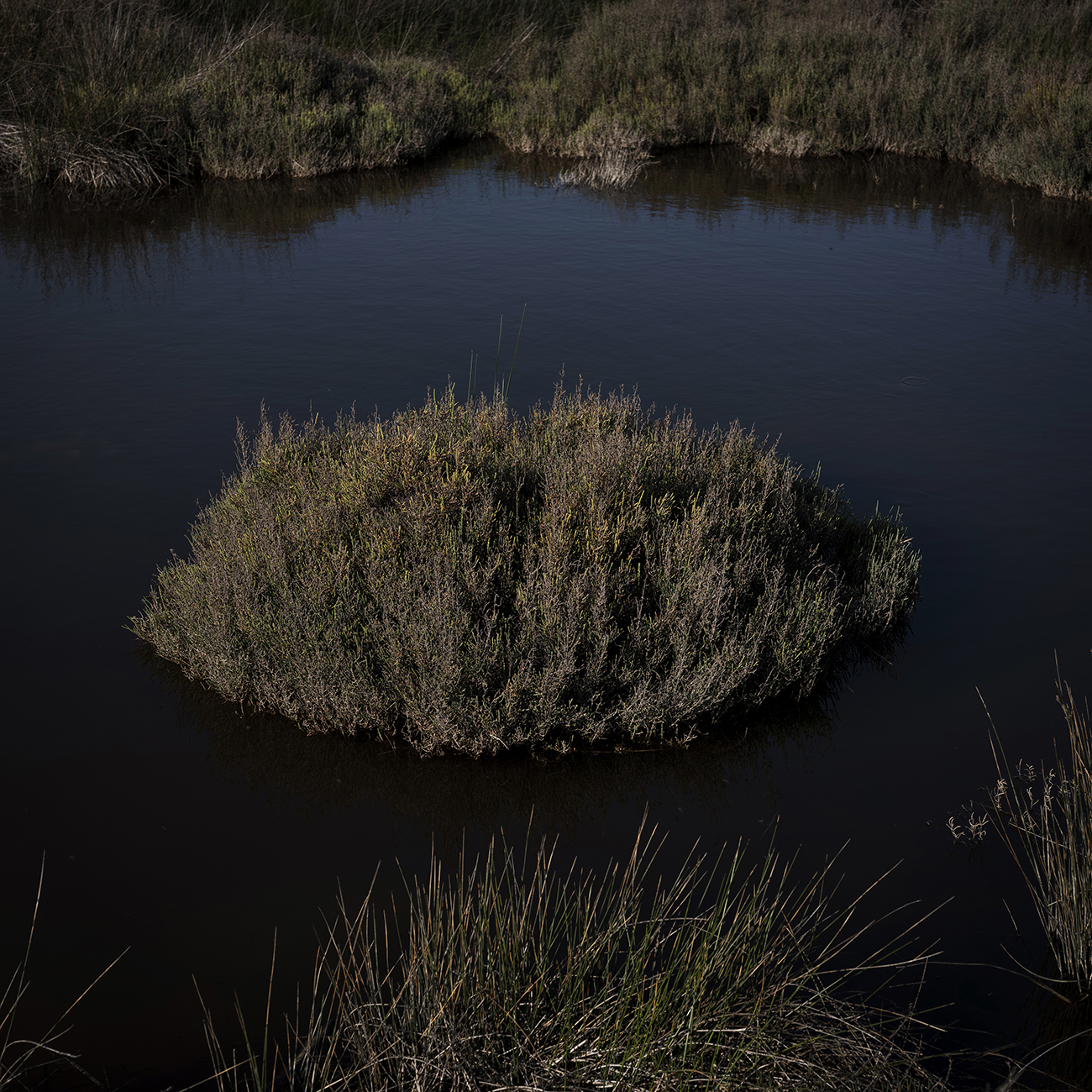 © Yohanne Lamoulère, Tendance Floue
