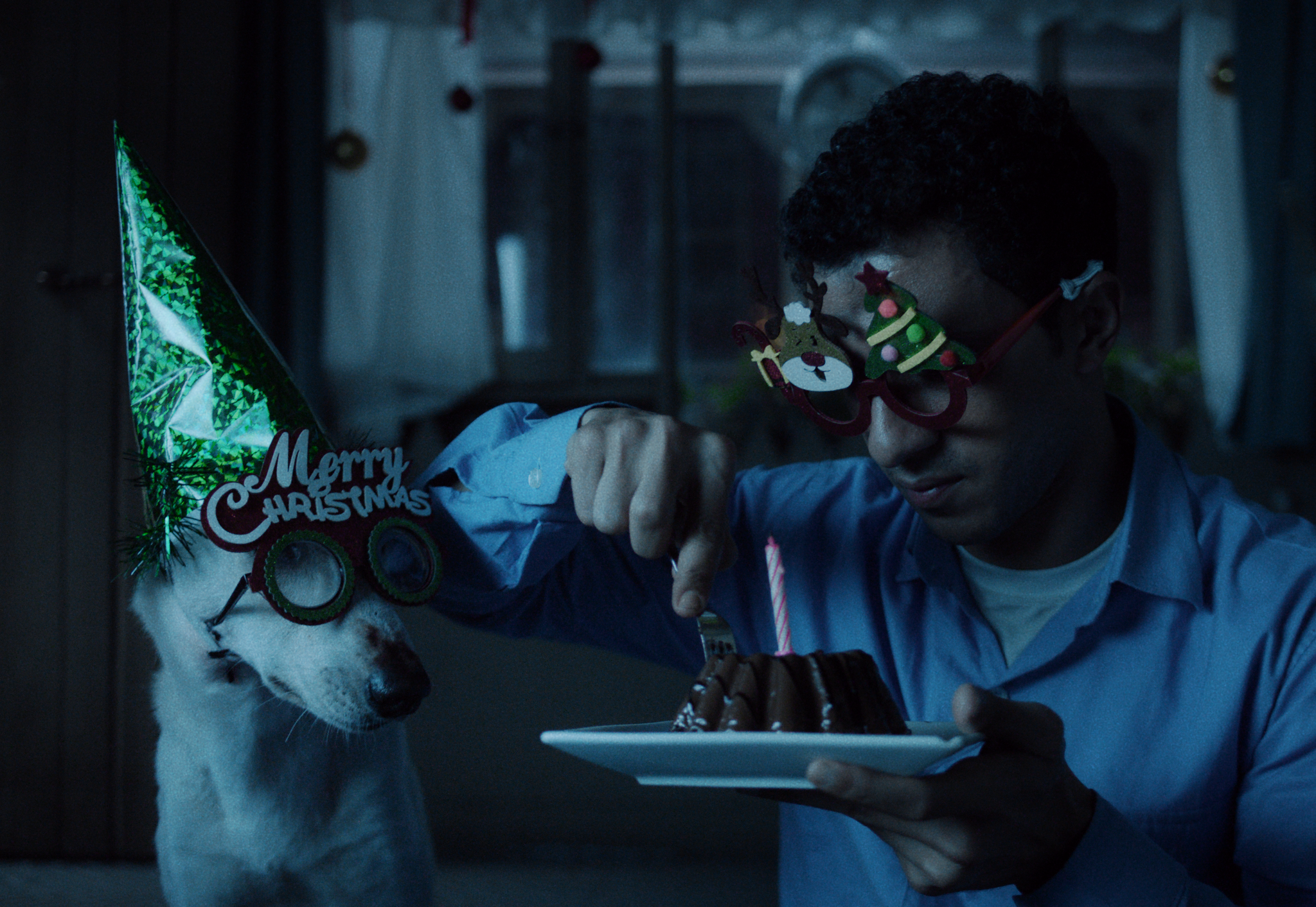 Seeking Haven for Mr. Rambo