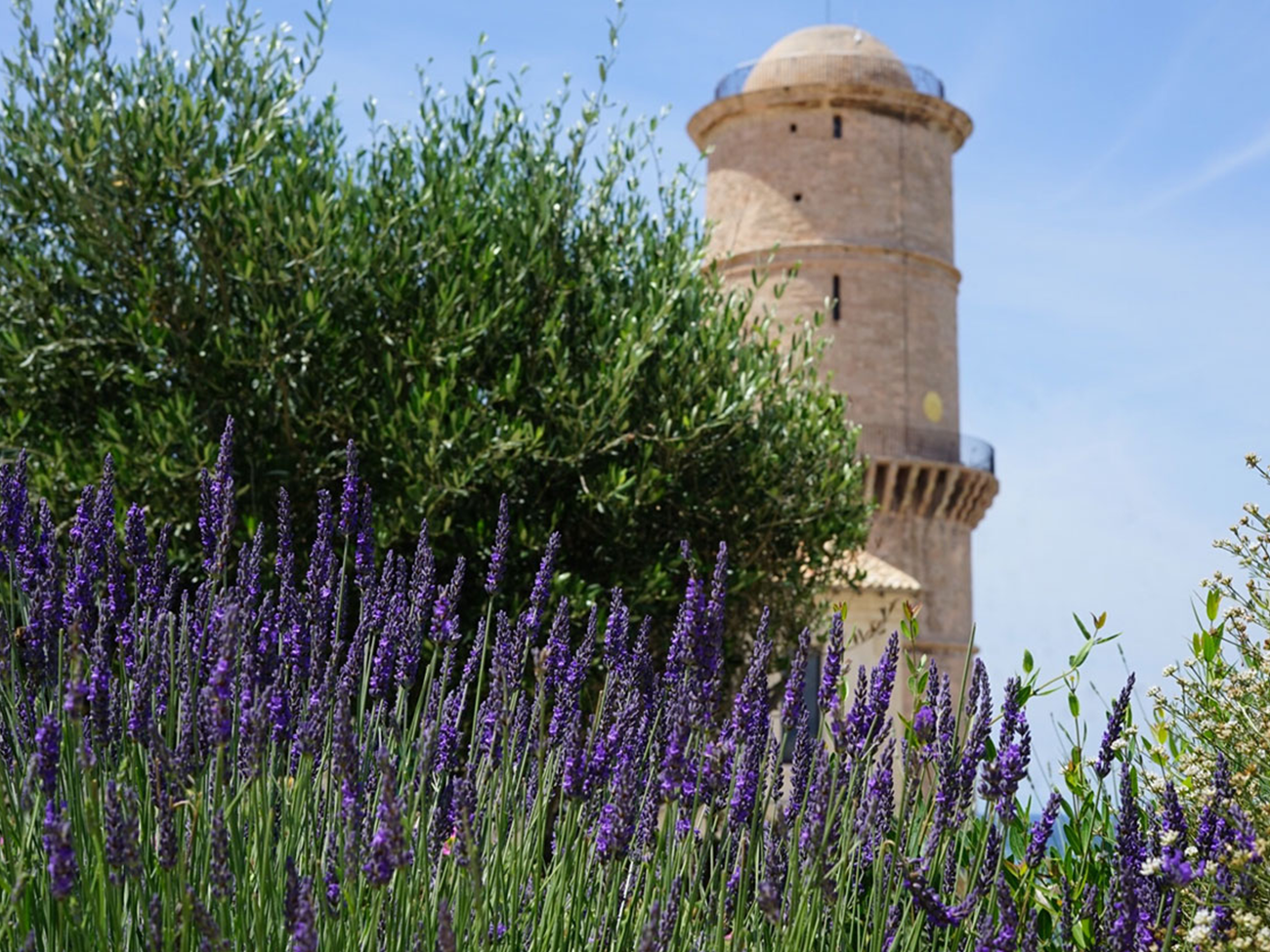 Jardin des migrations © Julie Cohen