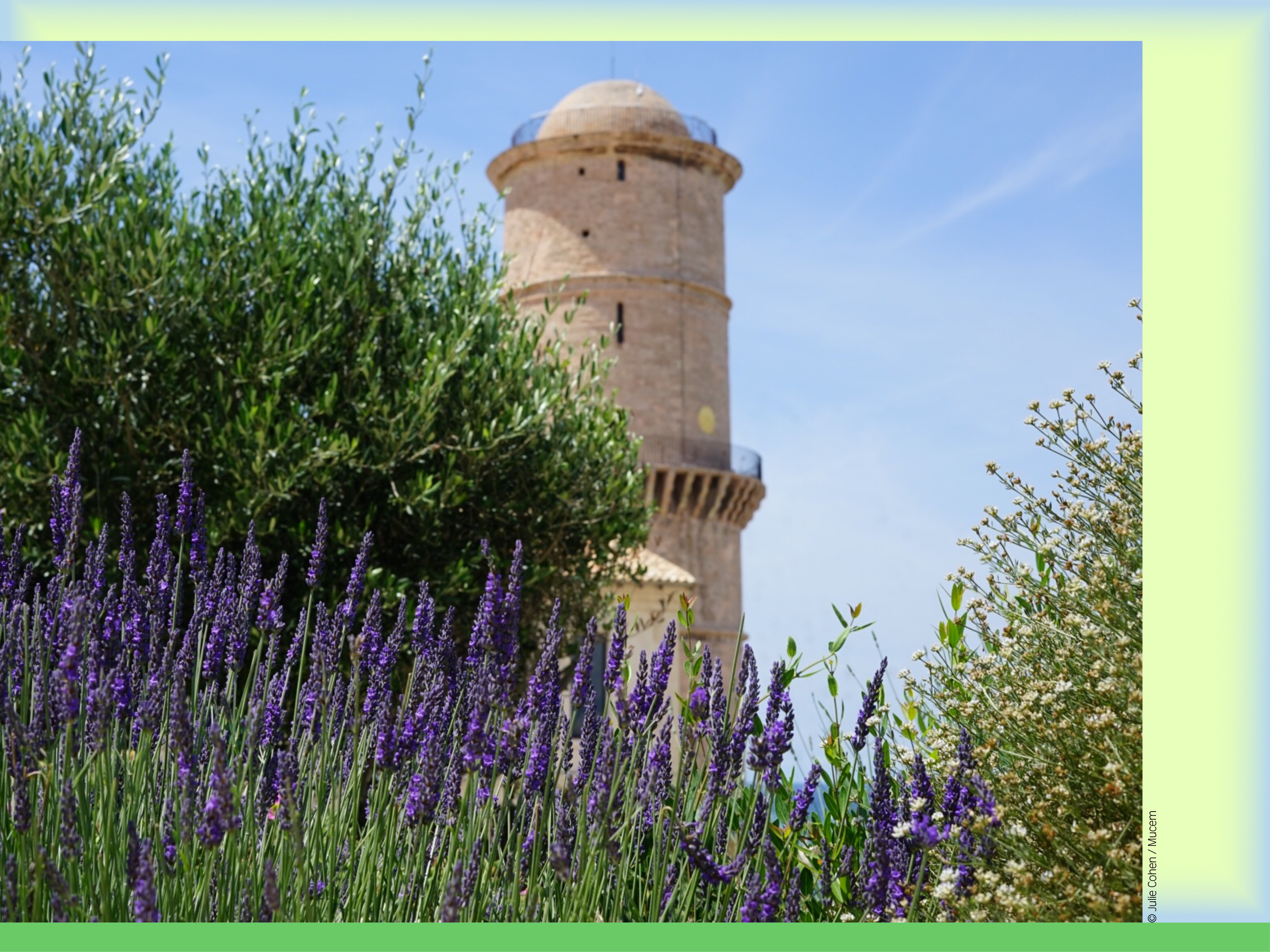 La vie en vert. Nos jardins / nos futurs 2025 © Julie Cohen / Mucem