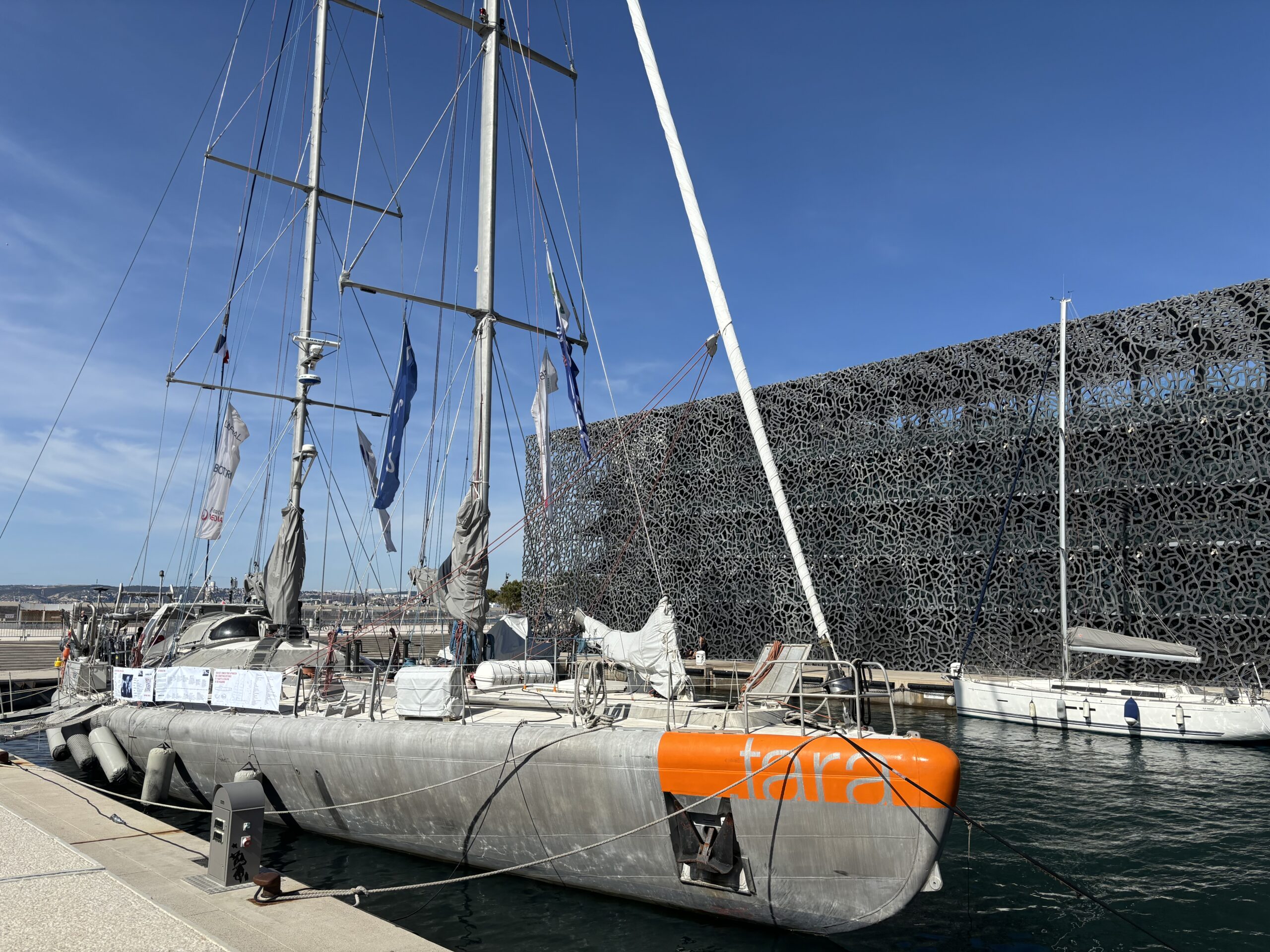 Fondation Tara © Julie Cohen