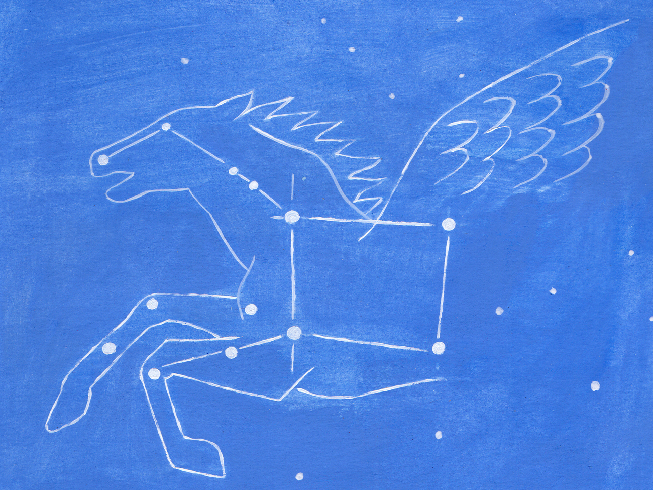 Des étoiles plein les yeux © Fanny Dreyer / Mucem