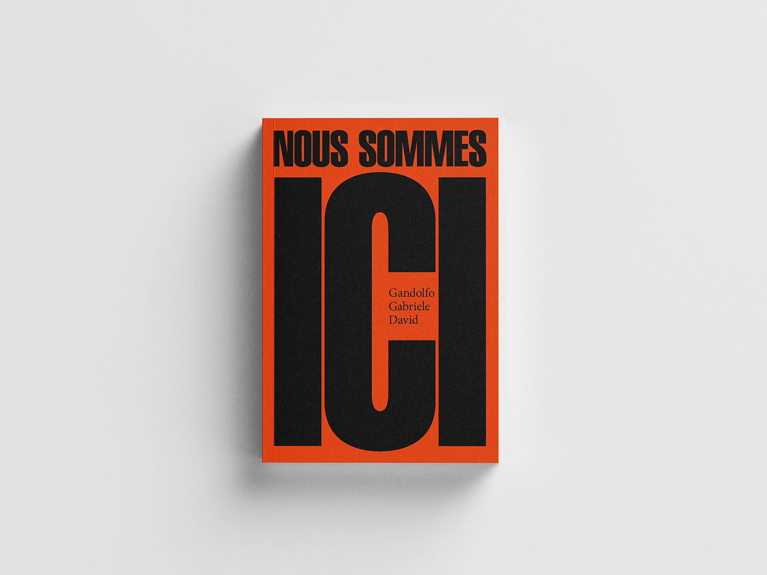 Visuel de couverture du livre Nous sommes ici, de Gandolfo Gabriele David