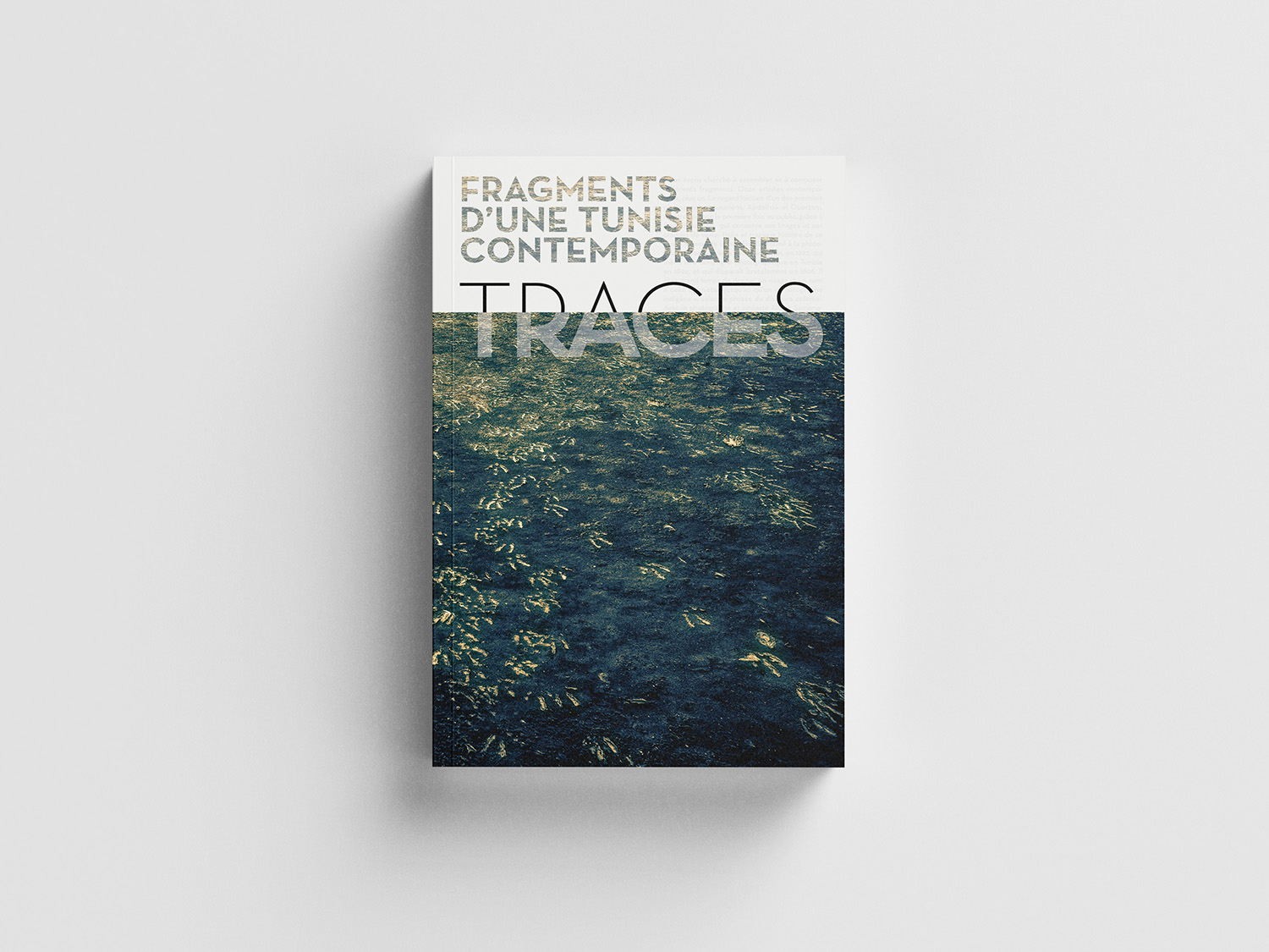 Visuel de couverture de l'exposition Traces