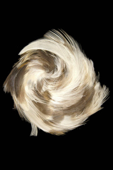 objet support d'envoûtement - charme