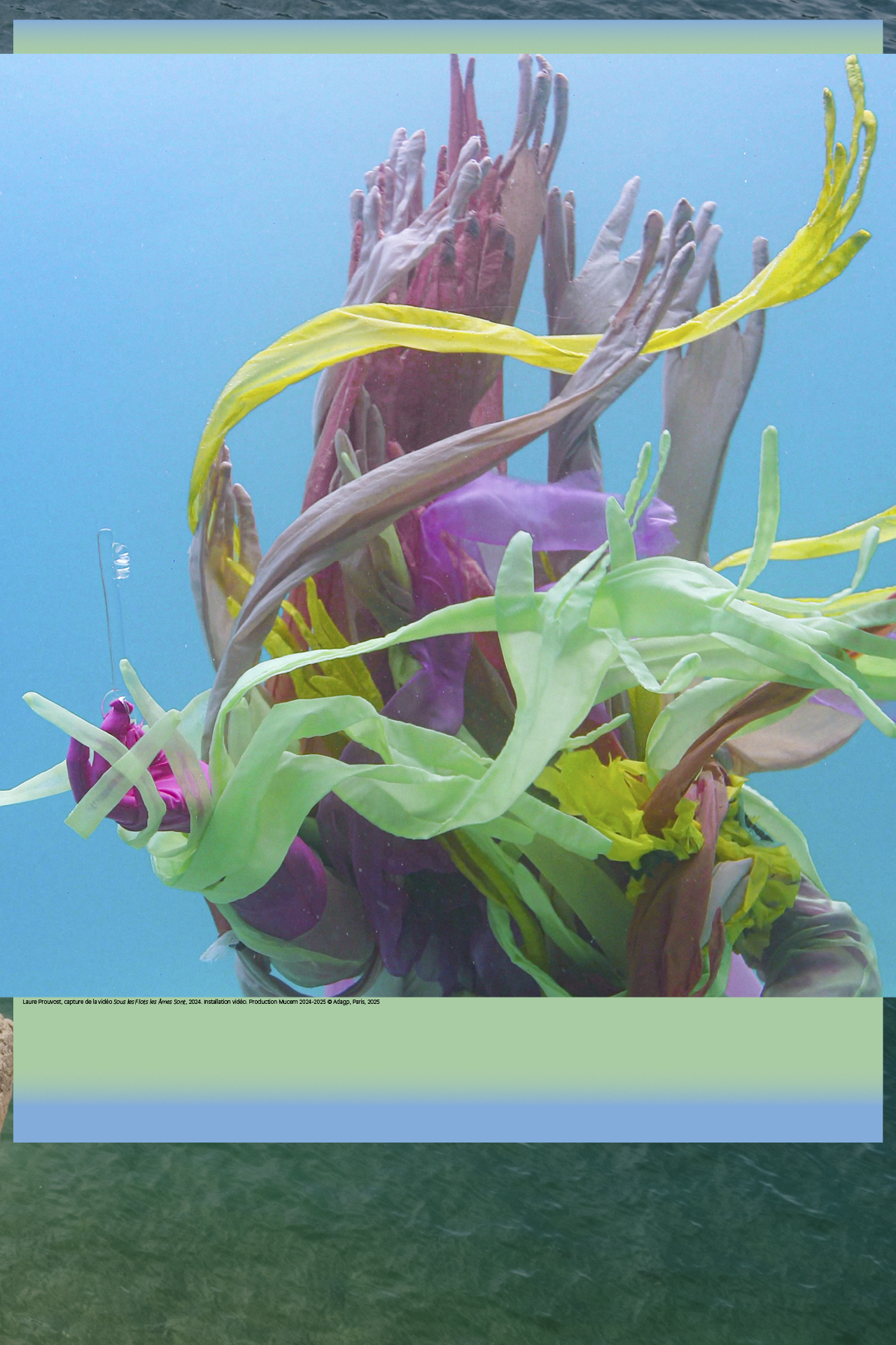 Affiche Laure Prouvost