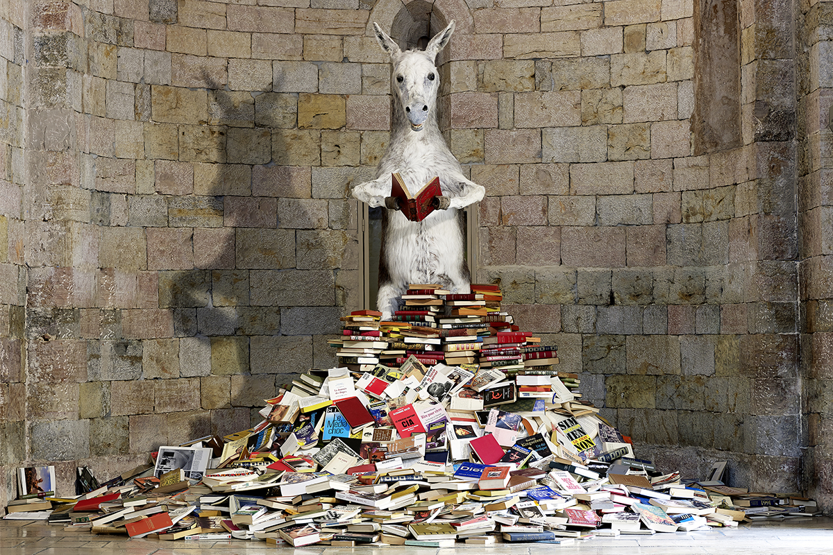 Pilar Albarracin, Asnaria, instalación, 2010 © Pilar Albarracin Galerie Georges Philippe &amp; Nathalie Vallois © Adagp, París, 2025