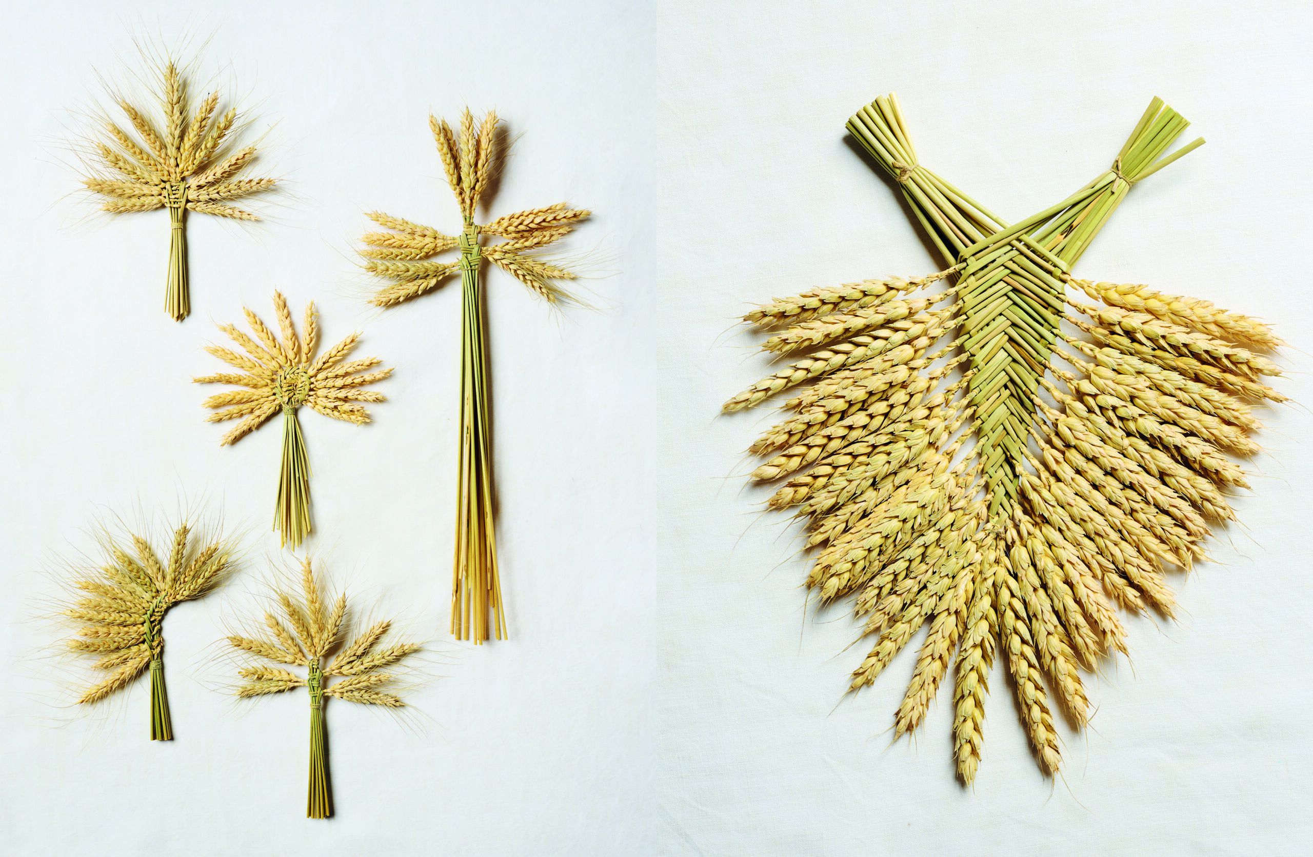 Bouquet de moisson - Atelier Plein-air ©Anaïs Barelli