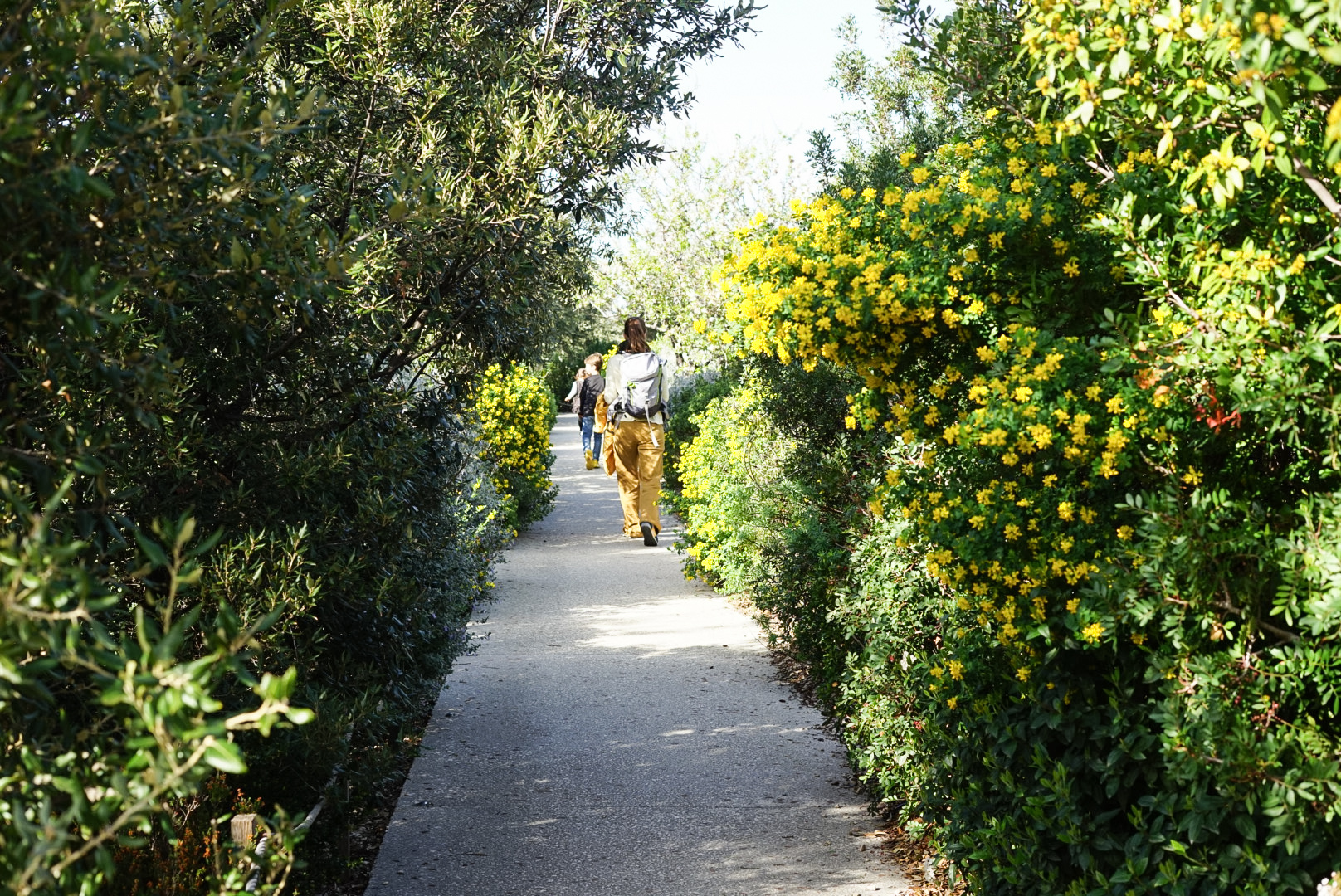Jardin des migrations - Mucem - 2022 © Julie Cohen - Mucem