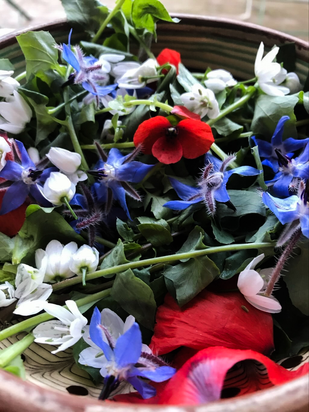 Atelier Plein Air ! © Julie Cohen - Mucem