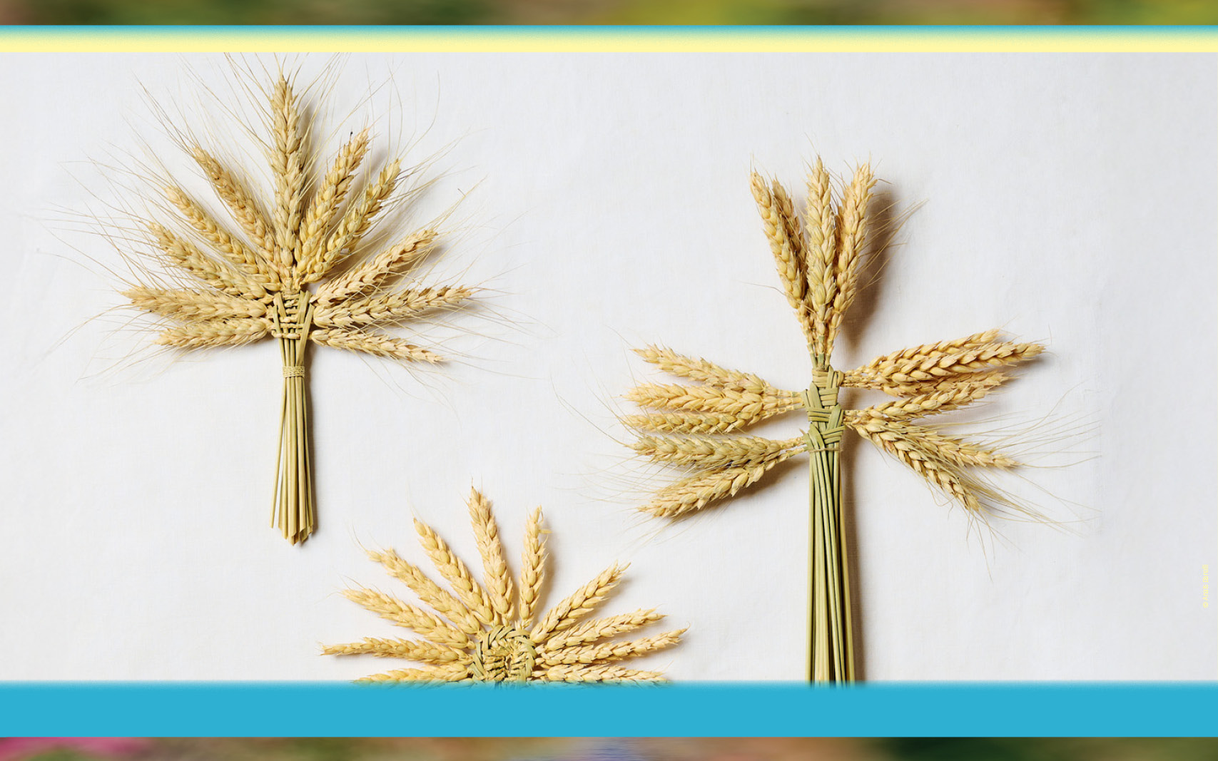 Plein air ! 2026 © Anaïs Barelli, Mucem