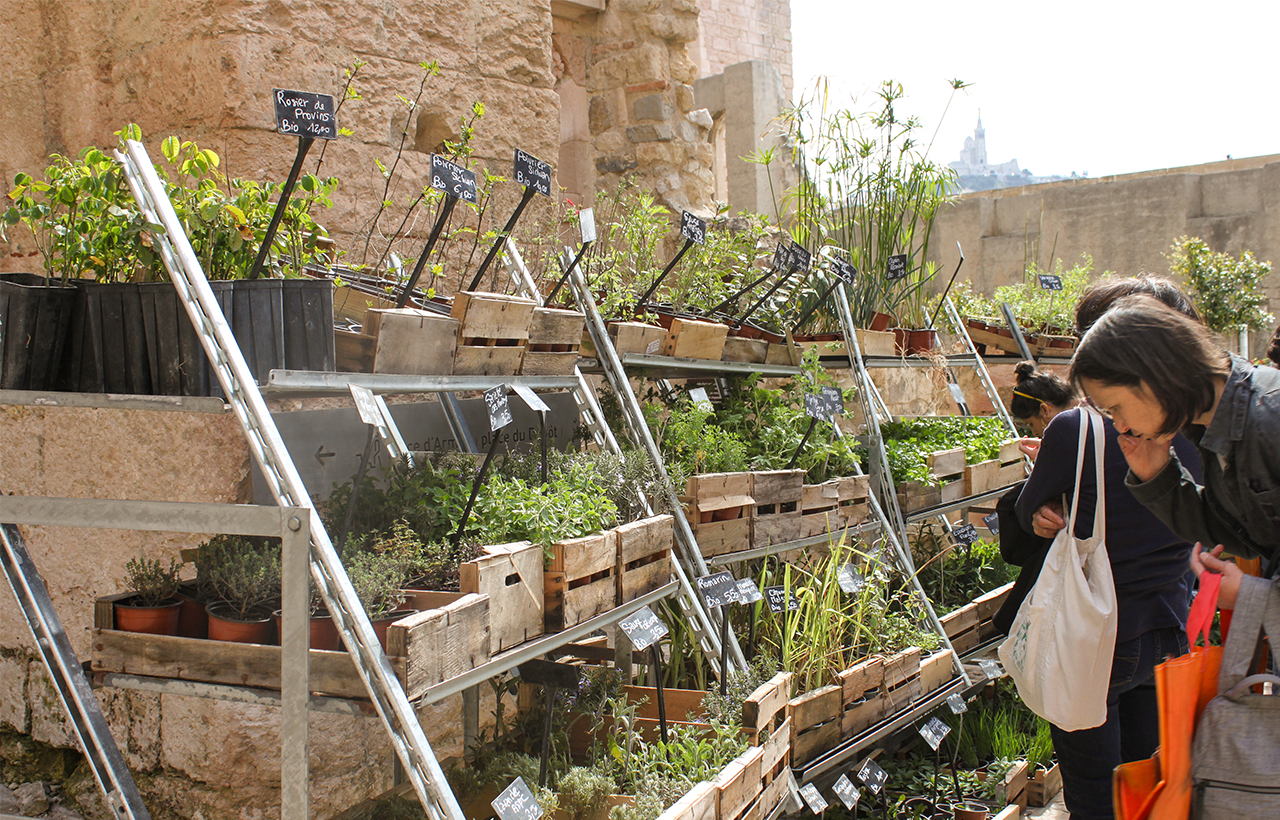 Fête des plantes © Clémence Piot - Mucem