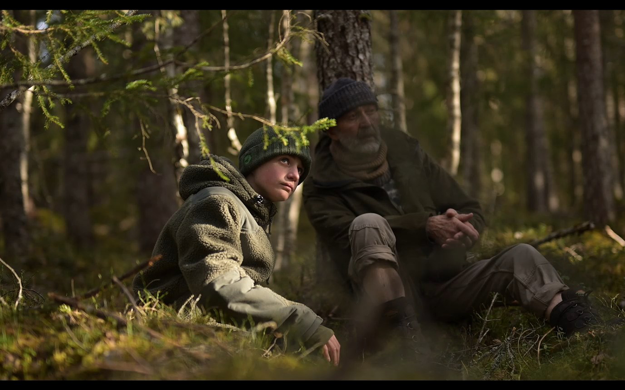 Chant des forêts © Vincent Munier - Paprika Films - Kobalann Production